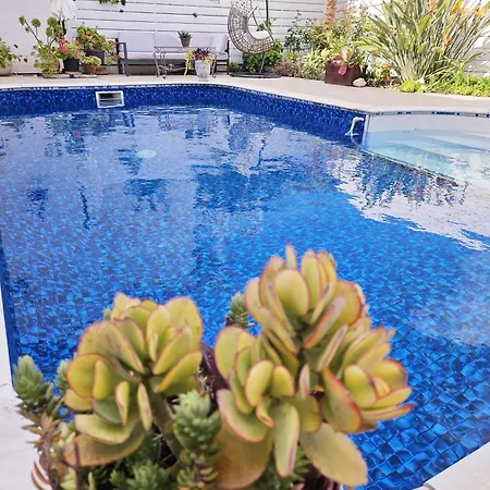 Villa Olivia Paphos Exterior photo